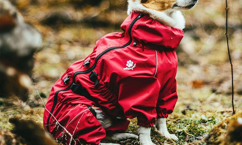Pet Explorer Dog Four-Legged Hooded Jacket—All-Around Protection from Head to Toe