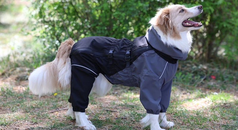 Chongxiaotan Dog Rain Jacket&mdash;A Versatile Protective Shield for Outdoor Adventures