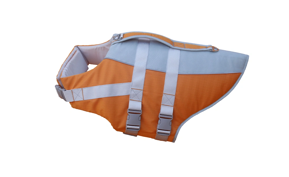 Brave the Cold Winds This Fall and Winter: PetXiaoTan’s Dog Thermal Vest Keeps Your Furry Friend Warm and Comfortable