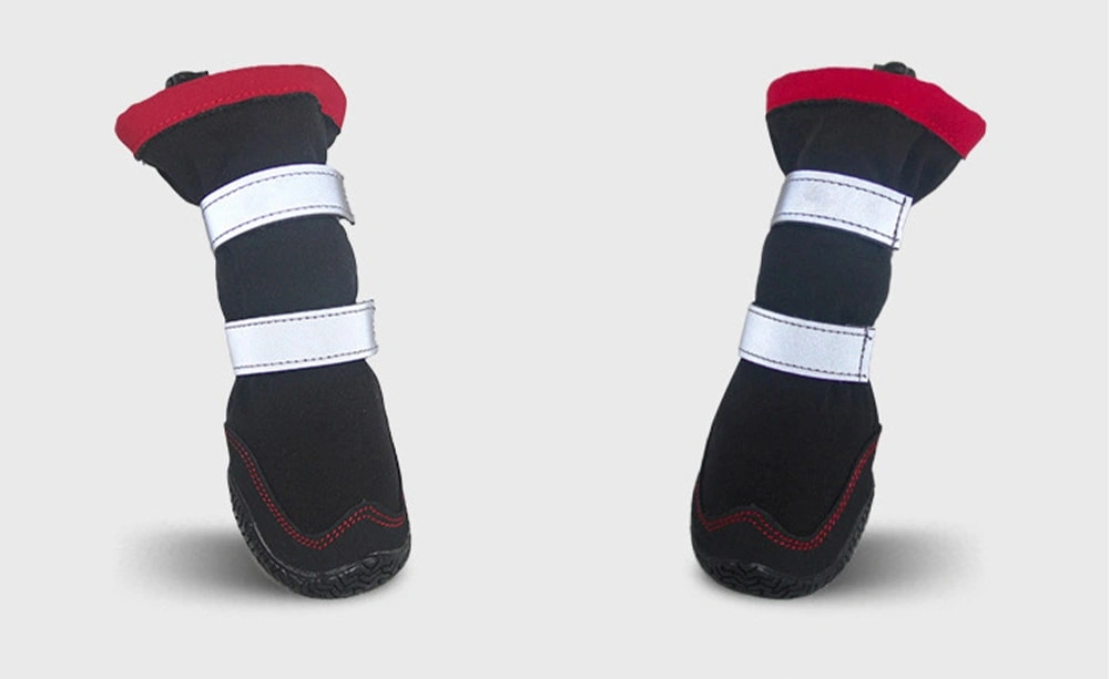 Hiking with Your Dog: PetXiaoTan Dog Sneakers Protect Their Paws from Injury