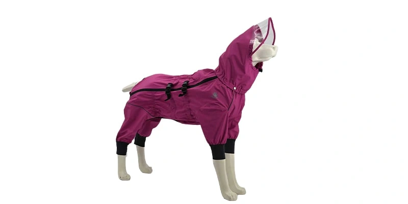 How to Choose Outdoor Clothing for Large Breed Dogs? The Secret to Balancing Heat Dissipation and Protection