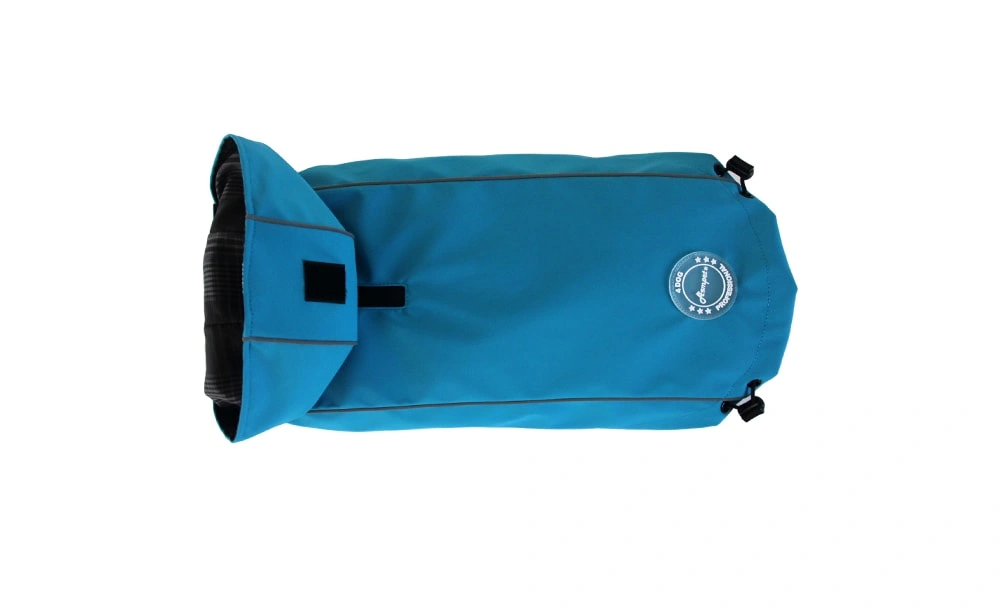 Protecting Puppies When Out and About: The Right Way to Manage Body Temperature in Puppies