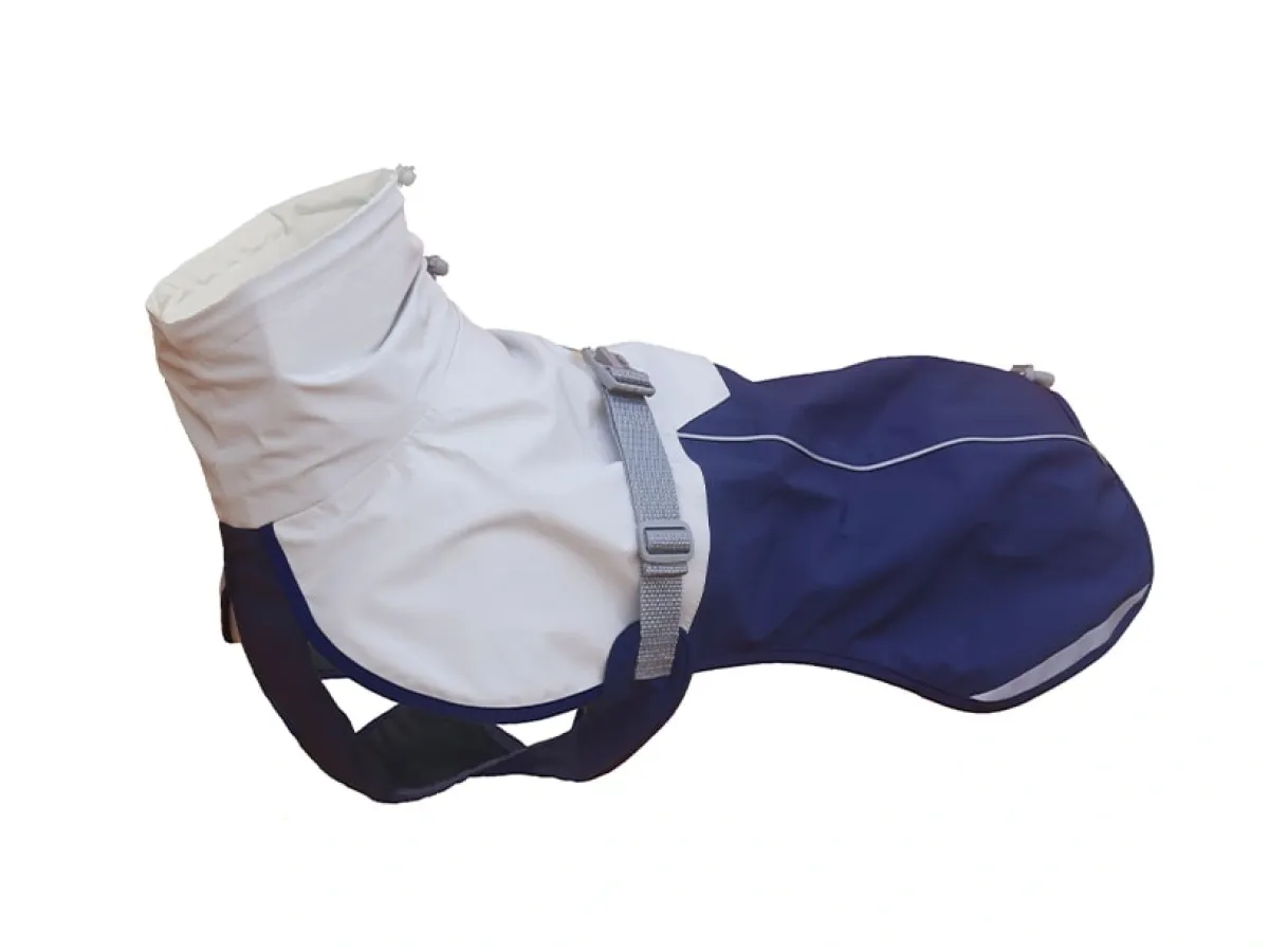 No More Dampness During Morning Dog Walks—Say Goodbye to Wet Fur with the Pet Explorer Waterproof Jacket