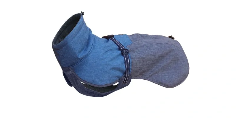 Double-Coated Dog Breeds Outdoor Clothing Tips for Huskies and Alaskan Malamutes