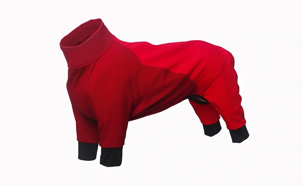 Keep Your Dog Healthy During Seasonal Changes PetXiaoTan’s Temperature-Regulating Jacket Adapts to Spring and Fall Tempe