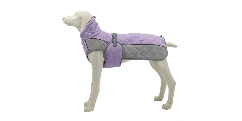 Walking Your Dog in the Rain Without Getting Soaked How to Choose the Right Waterproof Jacket
