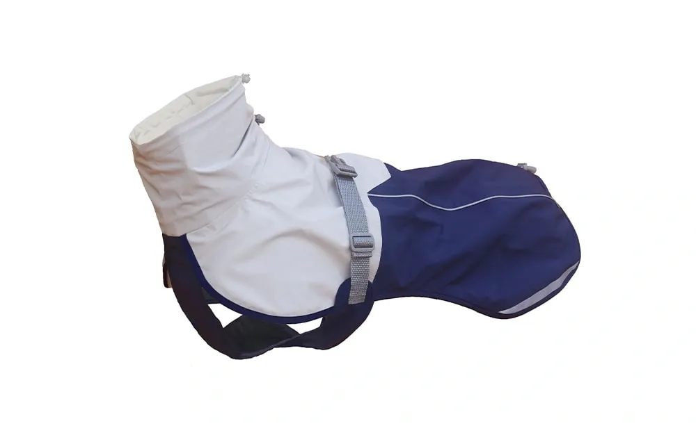 Essentials for Hiking with Your Dog The Ultimate Protection from Scratch-Resistant, Quick-Drying Outdoor Clothing