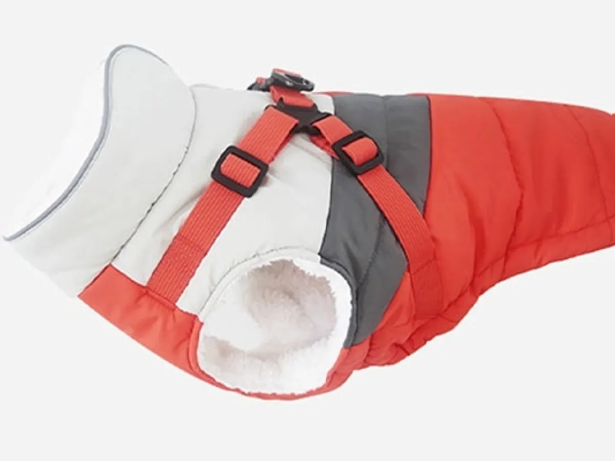 Outdoor Protection for Large Breed Dogs PetXiaoTan Oversized Windbreaker—Loose and Unrestrictive