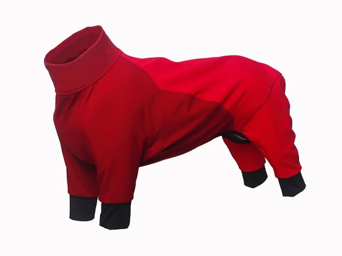 Adapting to Indoor-Outdoor Temperature Differences PetXiaoTan’s Lightweight Jacket Is Easy to Put On and Take Off and Versatile for All Seasons
