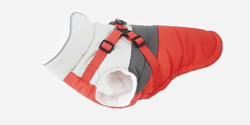 Guide to River Trekking and Water Play Quick-Dry, UV-Protective Clothing Designed for Water Activities